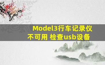 Model3行车记录仪不可用 检查usb设备